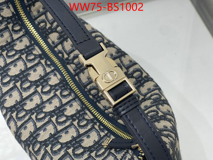 Dior Bags(4A)-Other Style- sell high quality ID: BS1002 $: 75USD,