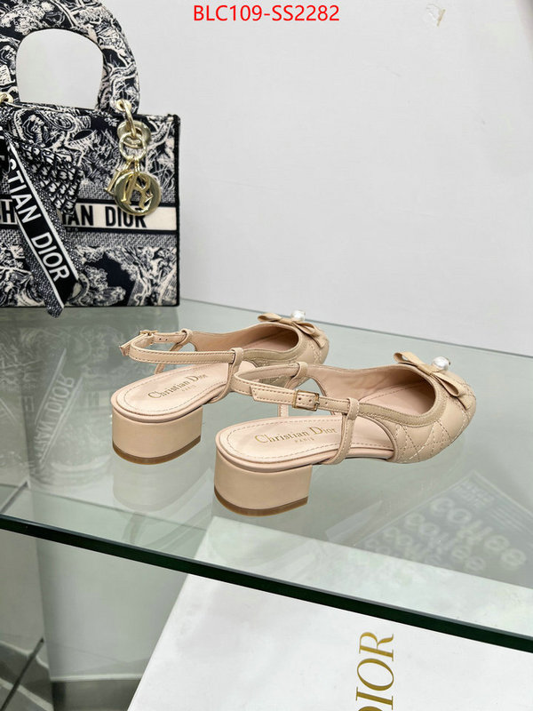 Women Shoes-Dior replica every designer ID: SS2282 $: 109USD