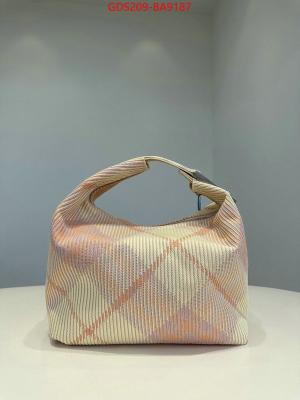 Burberry Bags(TOP)-Handbag- is it ok to buy ID: BA9187 $: 209USD,