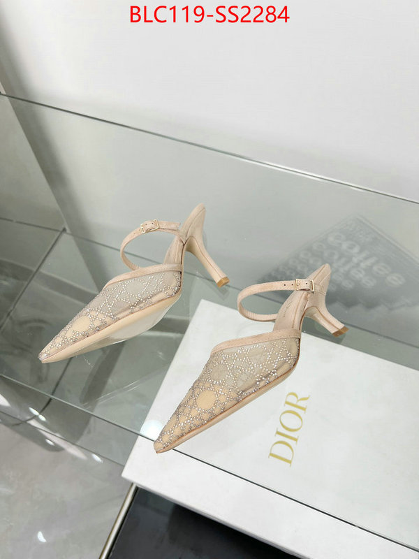 Women Shoes-Dior top ID: SS2284 $: 119USD