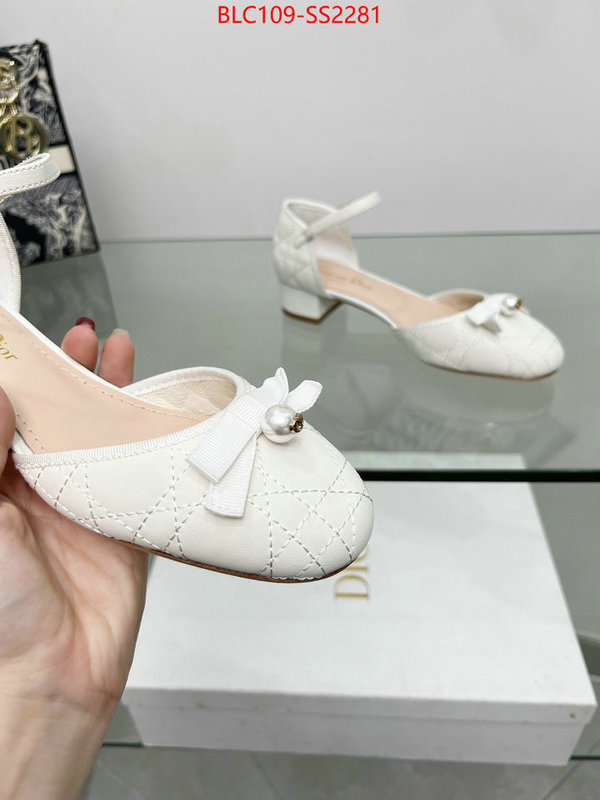 Women Shoes-Dior perfect quality designer replica ID: SS2281 $: 109USD