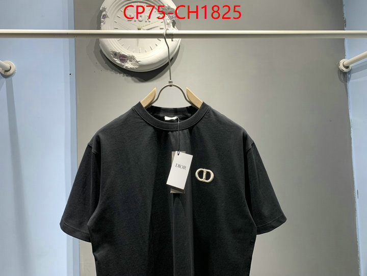 Clothing-Dior high quality designer ID: CH1825 $: 75USD