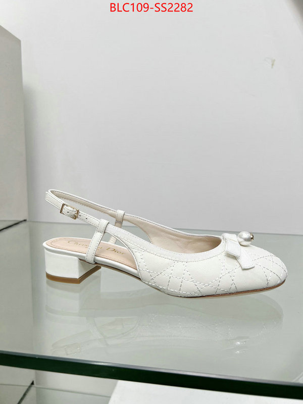 Women Shoes-Dior replica every designer ID: SS2282 $: 109USD