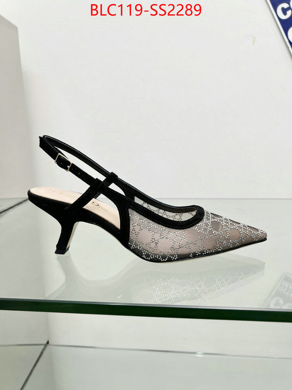 Women Shoes-Dior replica aaaaa+ designer ID: SS2289 $: 119USD