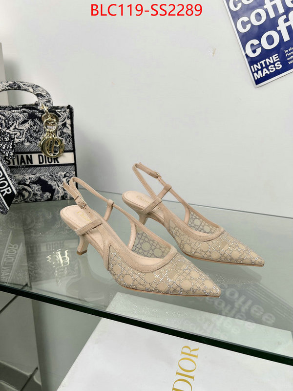 Women Shoes-Dior replica aaaaa+ designer ID: SS2289 $: 119USD