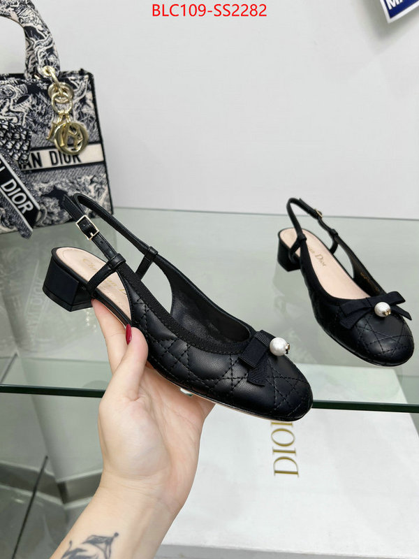 Women Shoes-Dior replica every designer ID: SS2282 $: 109USD