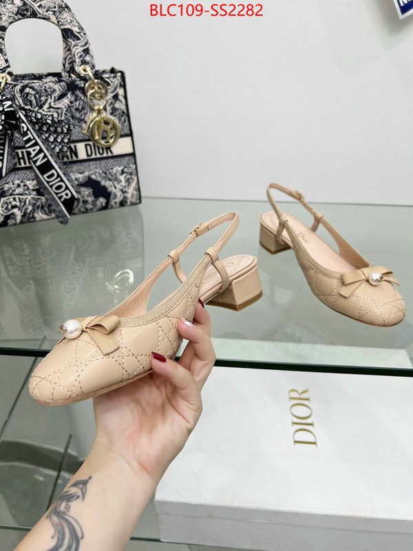 Women Shoes-Dior replica every designer ID: SS2282 $: 109USD