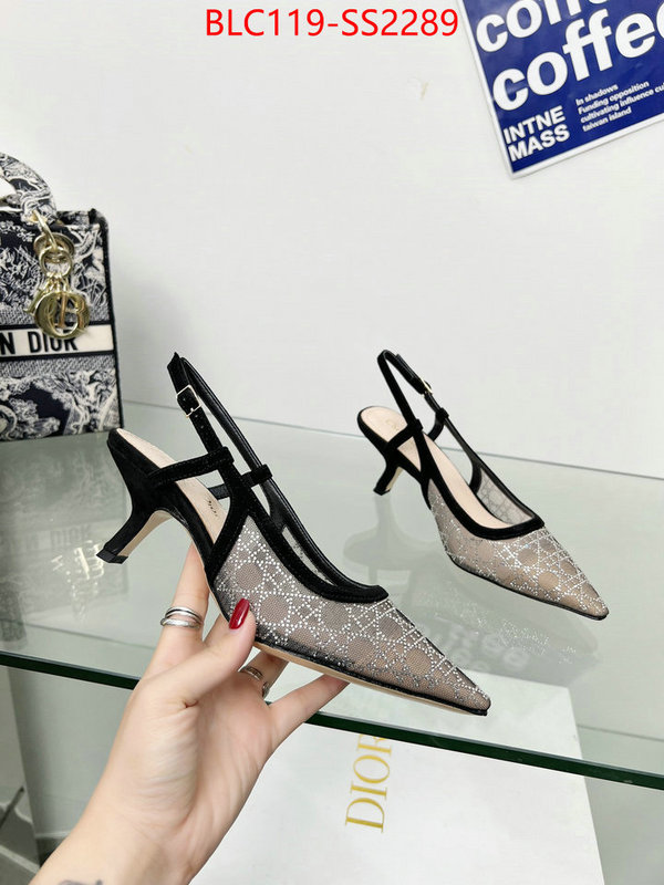 Women Shoes-Dior replica aaaaa+ designer ID: SS2289 $: 119USD