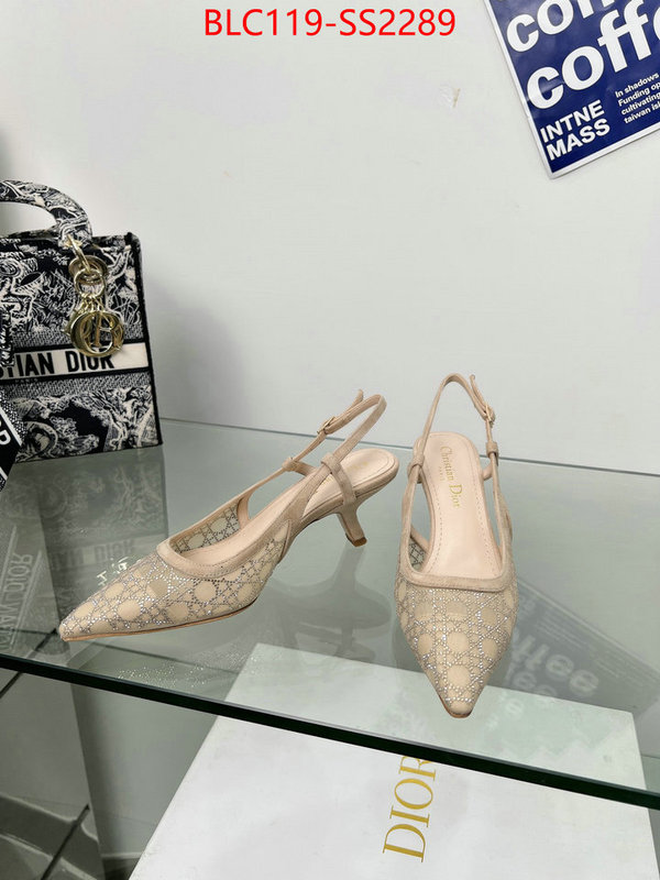 Women Shoes-Dior replica aaaaa+ designer ID: SS2289 $: 119USD