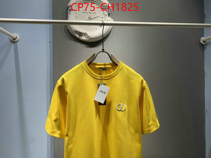 Clothing-Dior high quality designer ID: CH1825 $: 75USD