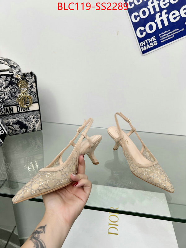 Women Shoes-Dior replica aaaaa+ designer ID: SS2289 $: 119USD