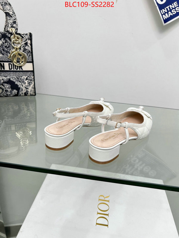 Women Shoes-Dior replica every designer ID: SS2282 $: 109USD