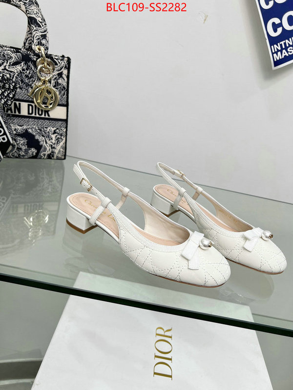 Women Shoes-Dior replica every designer ID: SS2282 $: 109USD