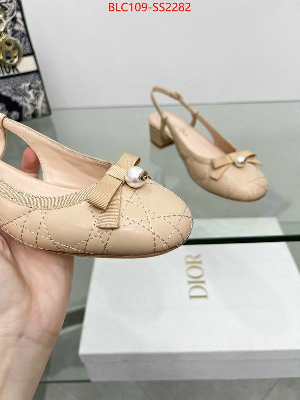 Women Shoes-Dior replica every designer ID: SS2282 $: 109USD