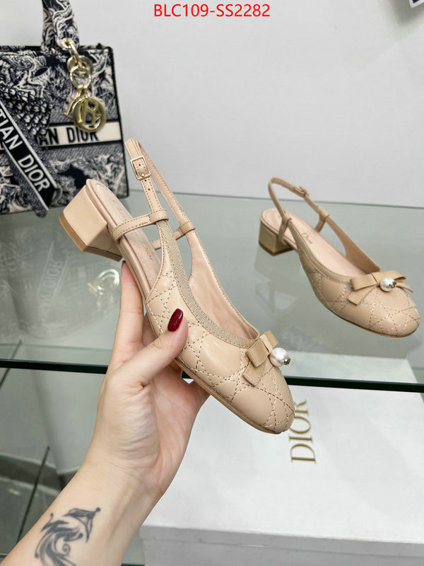 Women Shoes-Dior replica every designer ID: SS2282 $: 109USD