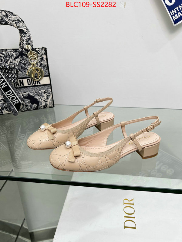 Women Shoes-Dior replica every designer ID: SS2282 $: 109USD