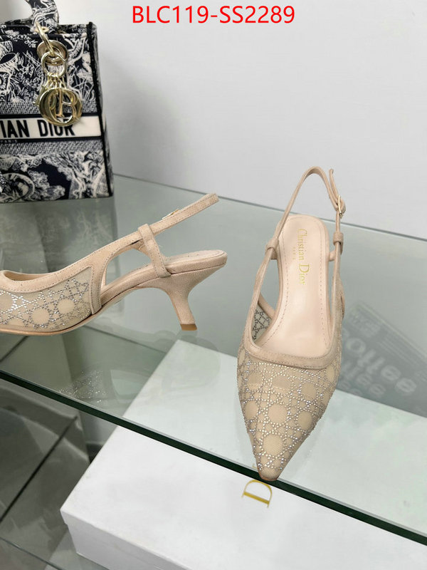 Women Shoes-Dior replica aaaaa+ designer ID: SS2289 $: 119USD