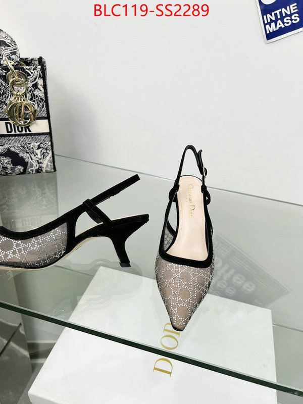 Women Shoes-Dior replica aaaaa+ designer ID: SS2289 $: 119USD