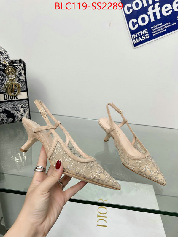 Women Shoes-Dior replica aaaaa+ designer ID: SS2289 $: 119USD