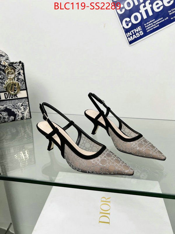 Women Shoes-Dior replica aaaaa+ designer ID: SS2289 $: 119USD