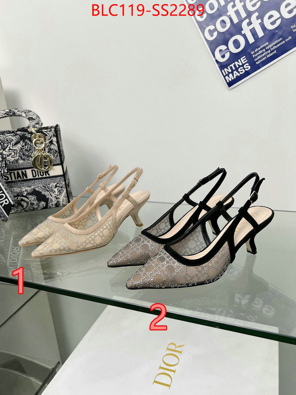 Women Shoes-Dior replica aaaaa+ designer ID: SS2289 $: 119USD