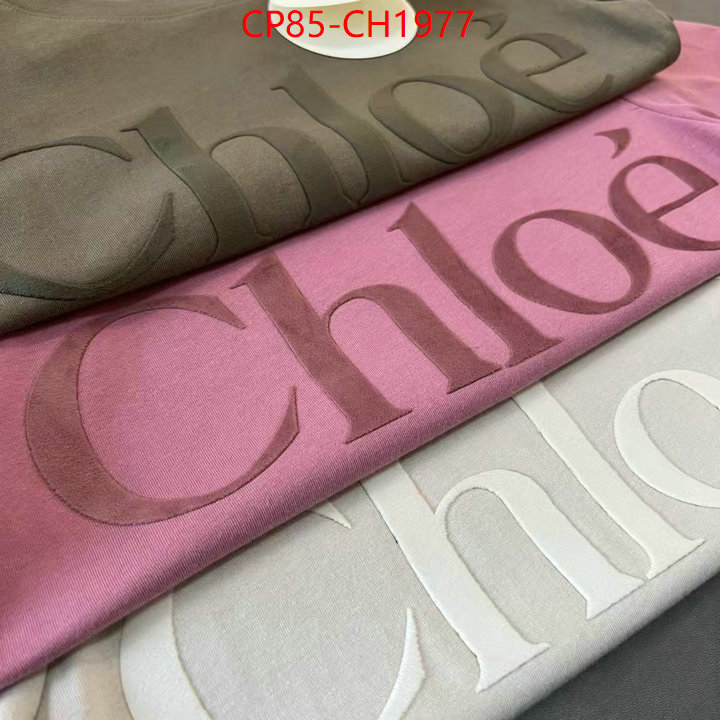 Clothing-Chloe aaaaa quality replica ID: CH1977 $: 85USD