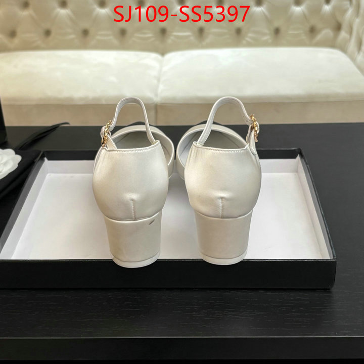Women Shoes-Chanel 2024 replica ID: SS5397 $: 109USD