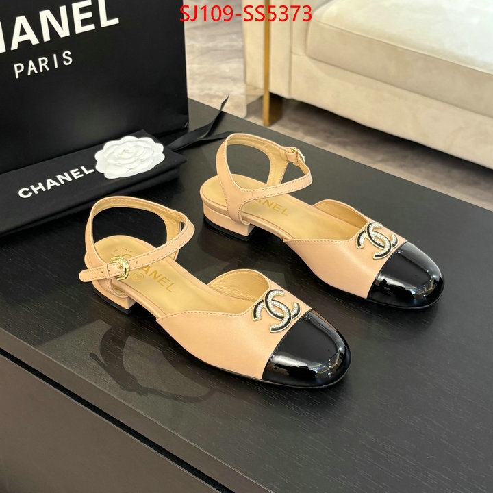Women Shoes-Chanel best like ID: SS5373 $: 109USD