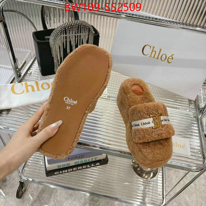 Women Shoes-Chloe high ID: SS2509 $: 109USD