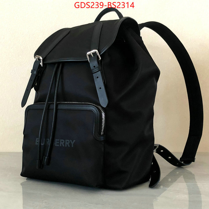 Burberry Bags(TOP)-Backpack- what is a counter quality ID: BS2314 $: 239USD,