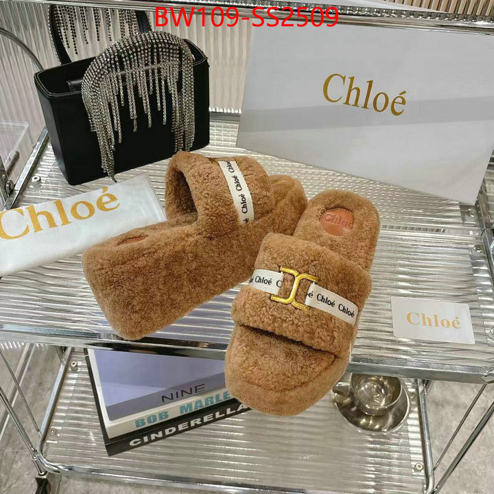 Women Shoes-Chloe high ID: SS2509 $: 109USD