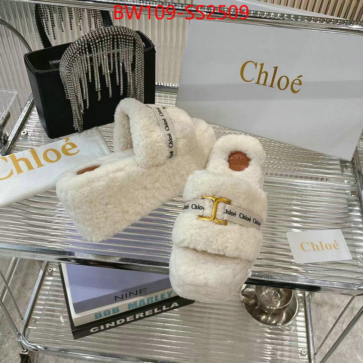 Women Shoes-Chloe high ID: SS2509 $: 109USD