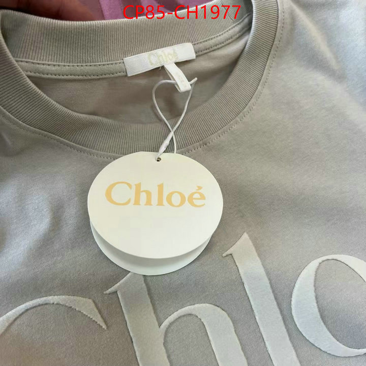 Clothing-Chloe aaaaa quality replica ID: CH1977 $: 85USD