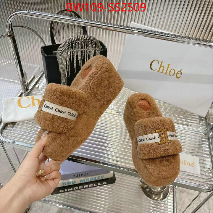 Women Shoes-Chloe high ID: SS2509 $: 109USD