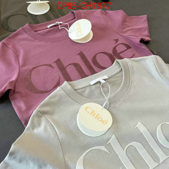 Clothing-Chloe aaaaa quality replica ID: CH1977 $: 85USD