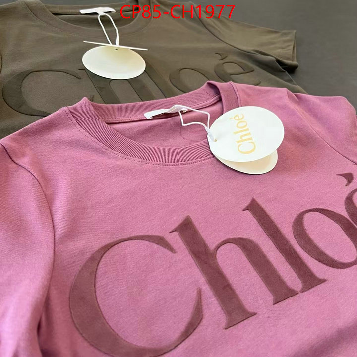 Clothing-Chloe aaaaa quality replica ID: CH1977 $: 85USD