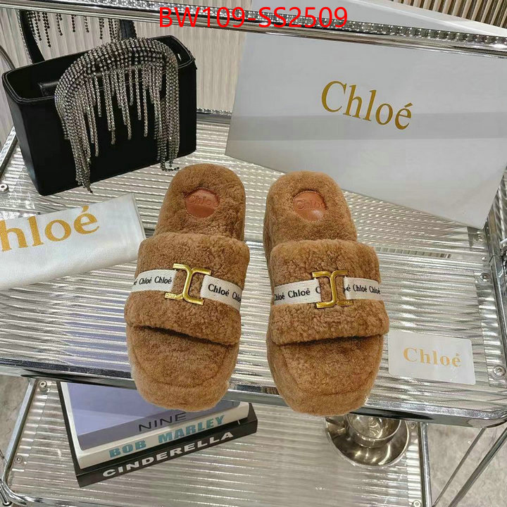 Women Shoes-Chloe high ID: SS2509 $: 109USD