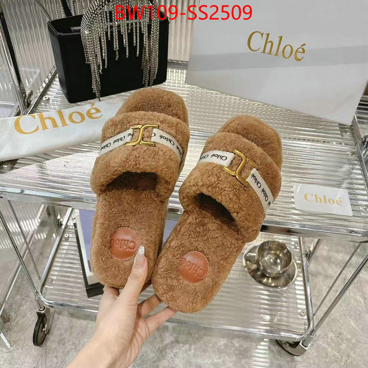 Women Shoes-Chloe high ID: SS2509 $: 109USD