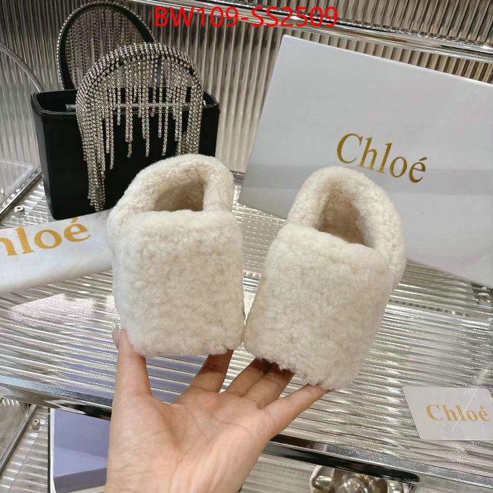 Women Shoes-Chloe high ID: SS2509 $: 109USD