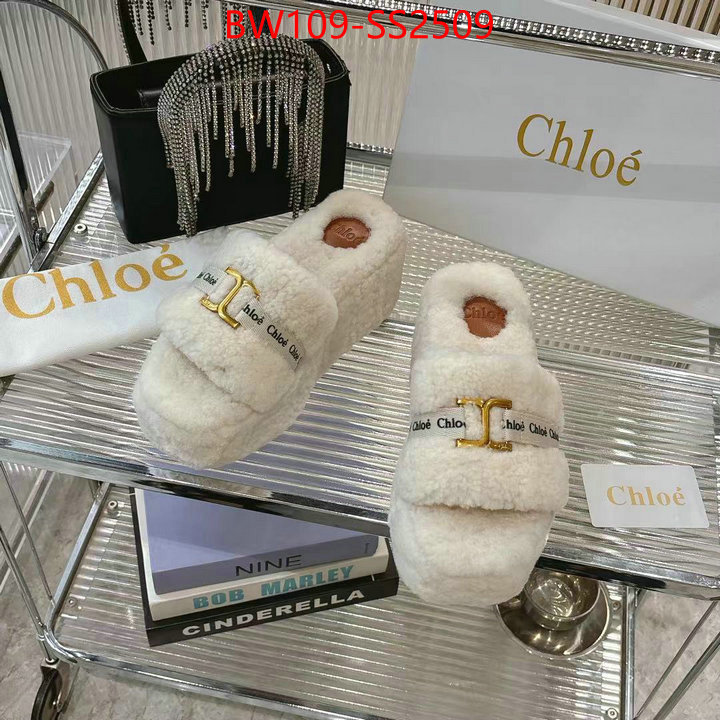 Women Shoes-Chloe high ID: SS2509 $: 109USD