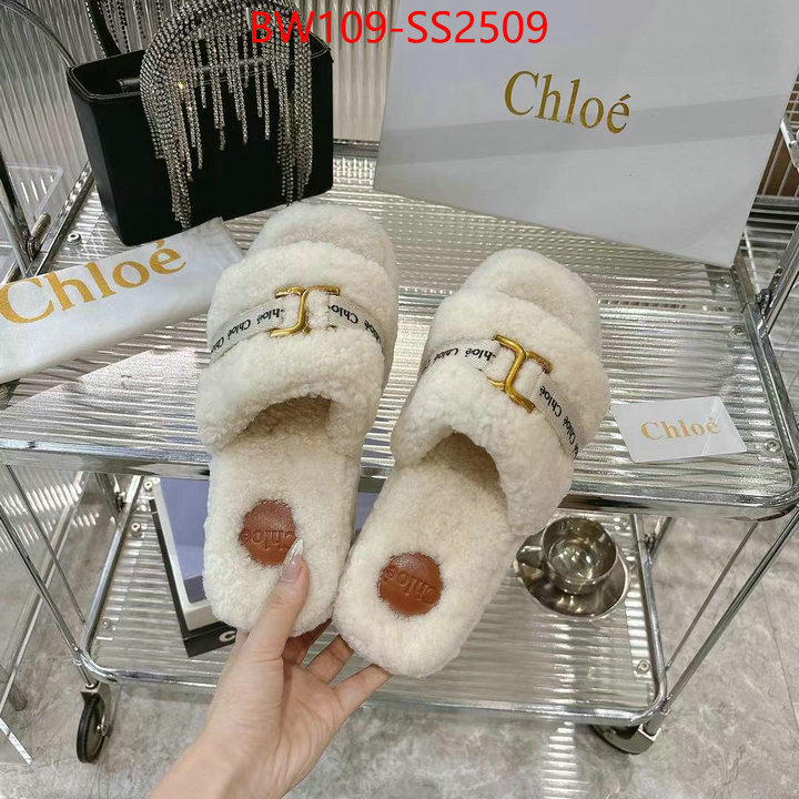 Women Shoes-Chloe high ID: SS2509 $: 109USD