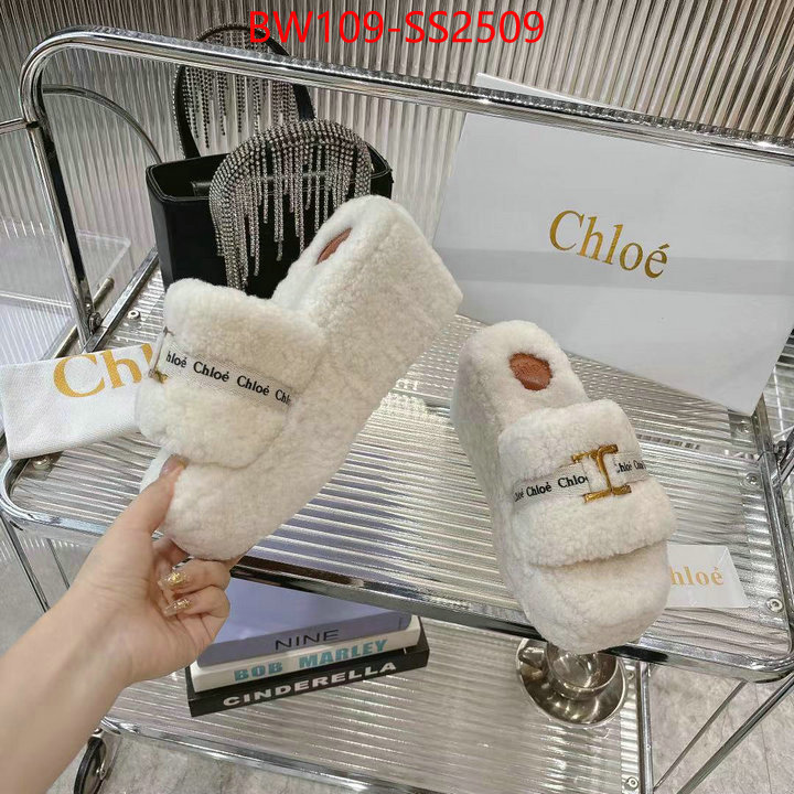 Women Shoes-Chloe high ID: SS2509 $: 109USD