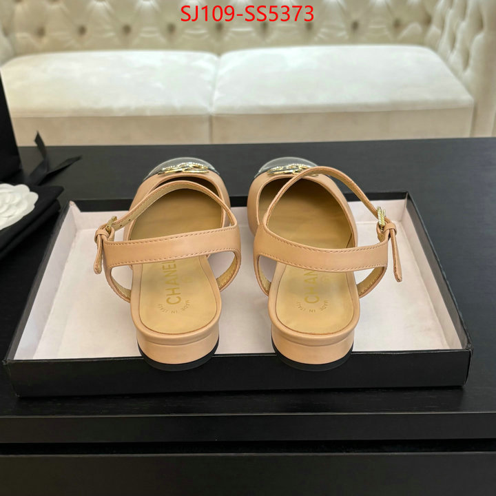 Women Shoes-Chanel best like ID: SS5373 $: 109USD
