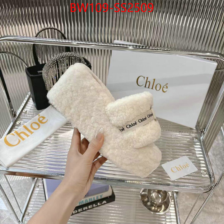 Women Shoes-Chloe high ID: SS2509 $: 109USD