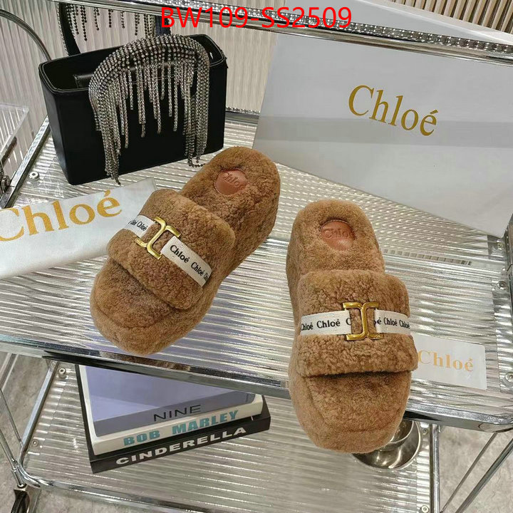 Women Shoes-Chloe high ID: SS2509 $: 109USD