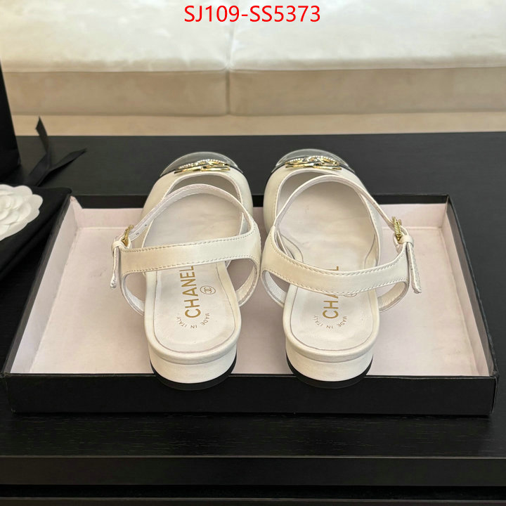 Women Shoes-Chanel best like ID: SS5373 $: 109USD