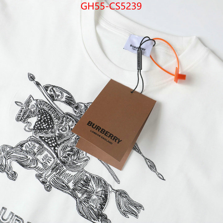 Clothing-Burberry brand designer replica ID: CS5239 $: 55USD