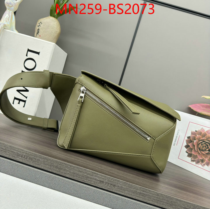 Loewe Bags(TOP)-Discovery- top sale ID: BS2073 $: 259USD,