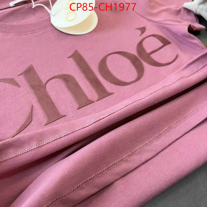 Clothing-Chloe aaaaa quality replica ID: CH1977 $: 85USD