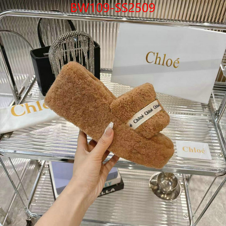 Women Shoes-Chloe high ID: SS2509 $: 109USD